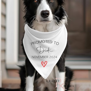 Promoted to Didi dog bandana | Pregnancy announcement dog bandana | Personalized dog bandana | Baby shower gift | South Asian gift
