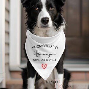Promoted to Bhaiya dog bandana | Pregnancy announcement dog bandana | Personalized dog bandana | Baby shower gift