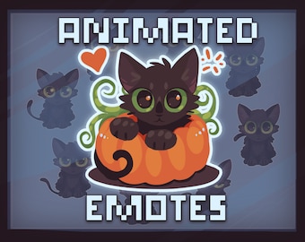 Animated Emote - Black Halloween Pumpkin Cat - Love Heart- Twitch Emotes, Digital Discord Emoji, Sticker Gifs, Animated + Static