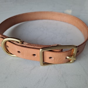 Leather Dog Collar - Handmade