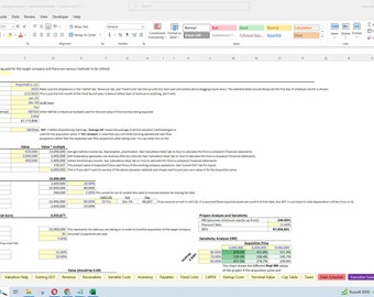 Precision LBO: Advanced Buyout Model