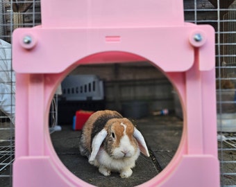 Rabbit Doorway Tunnel System Accessory  - Acrylic