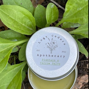 Yarrow and Plantain Salve
