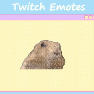 Dramatic Hamster Animated Emote For Twitch, Discord, Youtube, Meme