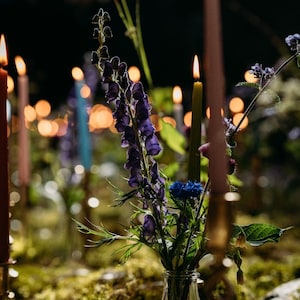 K&ouml;nnte beinhalten: Eine klare Glasvase mit violetten Eisenhutbl&uuml;ten und einer einzelnen blauen Kornblume, umgeben von mehreren hohen, d&uuml;nnen Stabkerzen in verschiedenen Farben wie Rosa, Gr&uuml;n und Rot, vor einem dunklen, unscharfen Hintergrund.