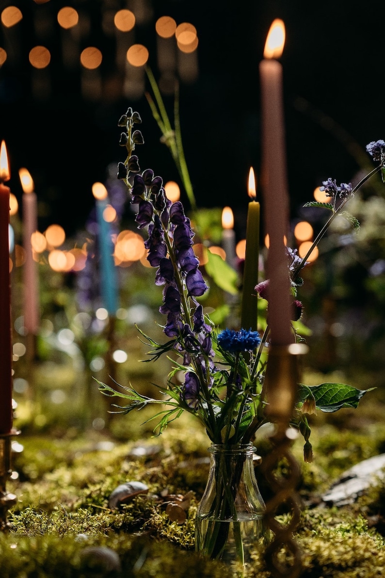 K&ouml;nnte beinhalten: Eine klare Glasvase mit violetten Eisenhutbl&uuml;ten und einer einzelnen blauen Kornblume, umgeben von mehreren hohen, d&uuml;nnen Stabkerzen in verschiedenen Farben wie Rosa, Gr&uuml;n und Rot, vor einem dunklen, unscharfen Hintergrund.