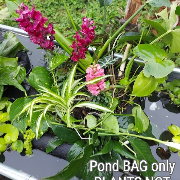 Floating Pond Bag (Free Ship)