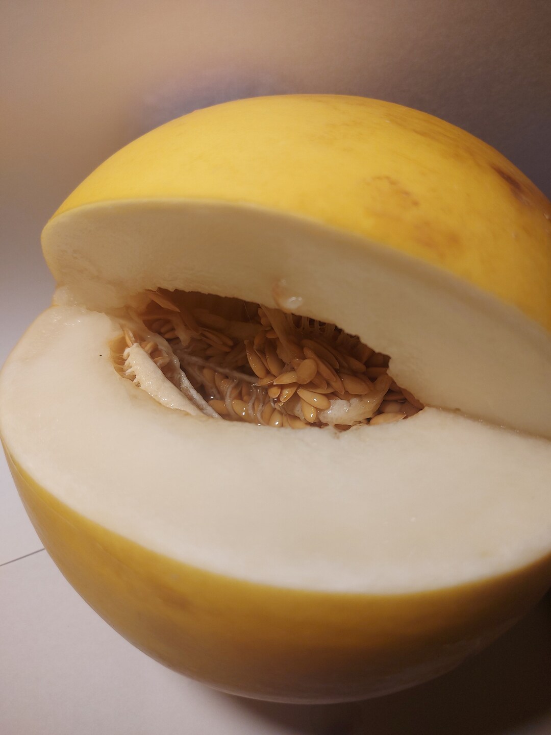 20 Golden Dewlicious Melon Seeds. Etsy