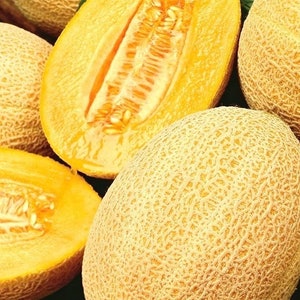 Melon - Pineapple 1g - 20 Seeds - Cucumis Melo