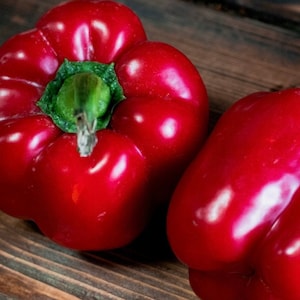 Pepper - Yolo Wonder 0.5g - 30 Seeds - Capsicum Annuum