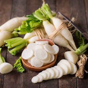 Radish - Astor 5g - 100 NON GMO Seeds - Raphanus Sativus Var. Major