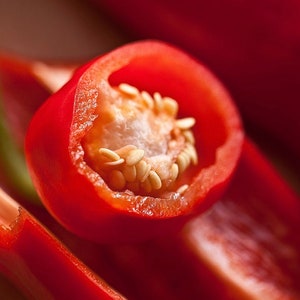 Pepper - Anaheim Chili 0.2g / 10 Seeds - Capsicum Annuum