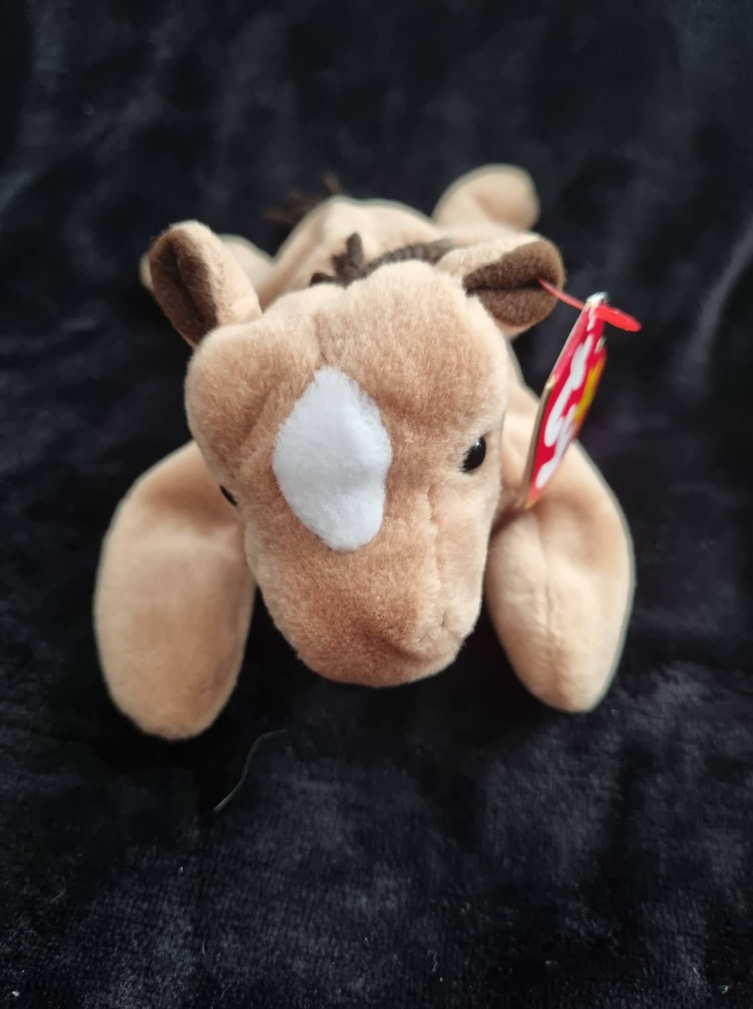Derby beanie hotsell baby 1995