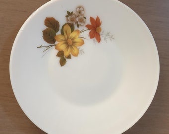 Lindo prato de jantar vintage britânico JAJ dos anos 1960 de 25 cm com padrão AUTUMN GLORY