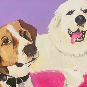 Pet Portraits