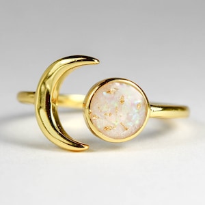Ashes Ring, Cremation Ring, 14k Gold, Pet Ashes, Pet Cremation Ring, Pet Memorial Jewelry, Pet Cremation Jewelry (NON-HUMAN REMAINS)