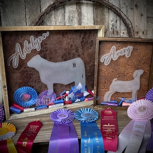 Ribbon display & keepsake box