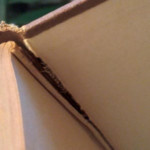 Pode incluir: Close-up de um livro aberto, revelando as p&aacute;ginas envelhecidas e texturizadas e a capa castanha desgastada. A encaderna&ccedil;&atilde;o &eacute; vis&iacute;vel, mostrando sinais de desgaste, sugerindo a idade e o uso do livro. As p&aacute;ginas s&atilde;o de cor bege claro.