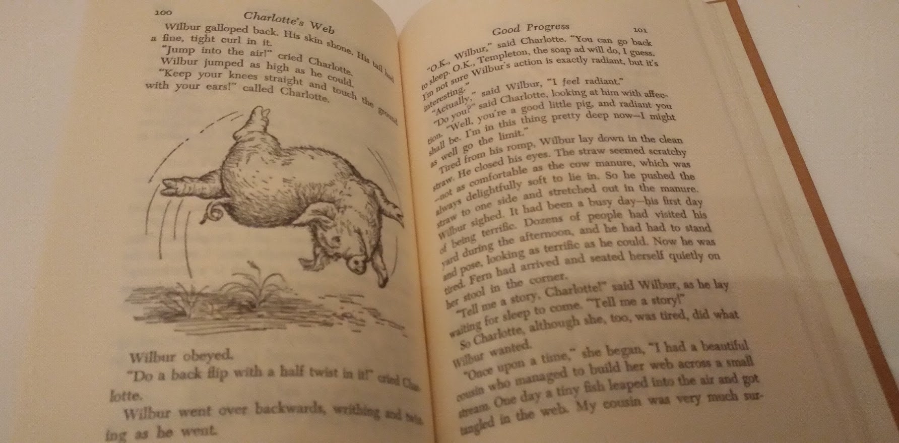 Charlotte's Web E. B. White 1952 With Pictures by Garth Williams - Etsy