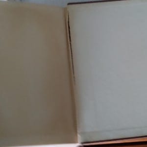 Pode incluir: Um livro aberto com p&aacute;ginas envelhecidas e esbranqui&ccedil;adas. A lombada do livro &eacute; marrom escuro e as p&aacute;ginas mostram sinais de idade. O livro est&aacute; aberto, revelando as p&aacute;ginas em branco, sugerindo que &eacute; um item vintage ou antigo.