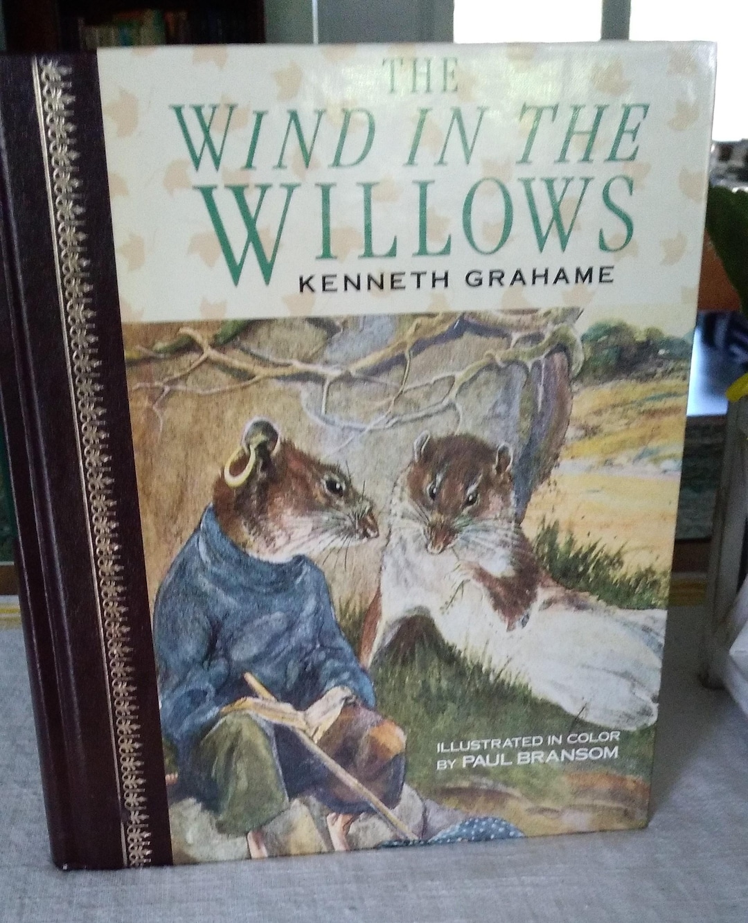 The Wind in the Willows Kenneth Grahame Illustrated by Paul Branson ...