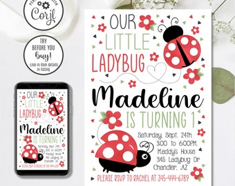 Ladybug Birthday Invitation, Editable Template