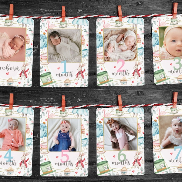 Editable Onederland Monthly Photo Milestone, Alice in Onderland Decor, 1st Birthday Monthly Milestone, Newborn - One Year, Template