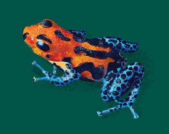 Digital illustration av orange giftpilgroda