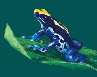 Blå giftpilgroda digital illustration