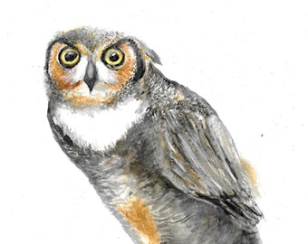 Pintura de acuarela de búho