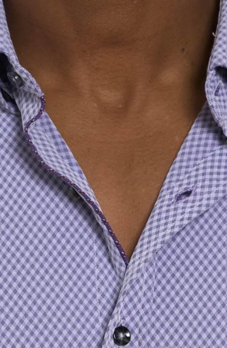 Puede incluir: Primer plano de una camisa de cuadros vichy de color p&uacute;rpura claro, con un ribete p&uacute;rpura oscuro en el cuello y la tapeta de botones. El bot&oacute;n superior est&aacute; abrochado. El cuello est&aacute; abierto, revelando el escote y el patr&oacute;n de la tela.