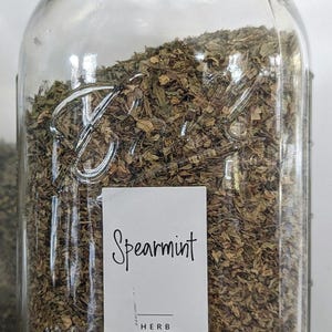 Organic Spearmint