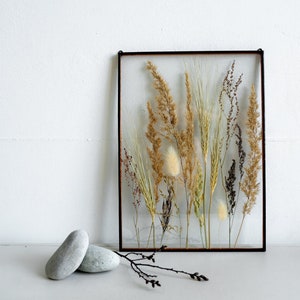 Geperste botanische producten Tarwedecor Weidegrassen gemengd A4 Float botanische kunst Herbarium Dubbelzijdig glazen frame Rustieke muurhanger Eco-stijl