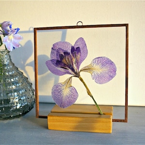 May include: A pressed purple iris flower displayed in a copper-colored metal frame, resting on a wooden stand. A small glass vase with blue and purple flowers is to the left. The iris has delicate, veined petals.