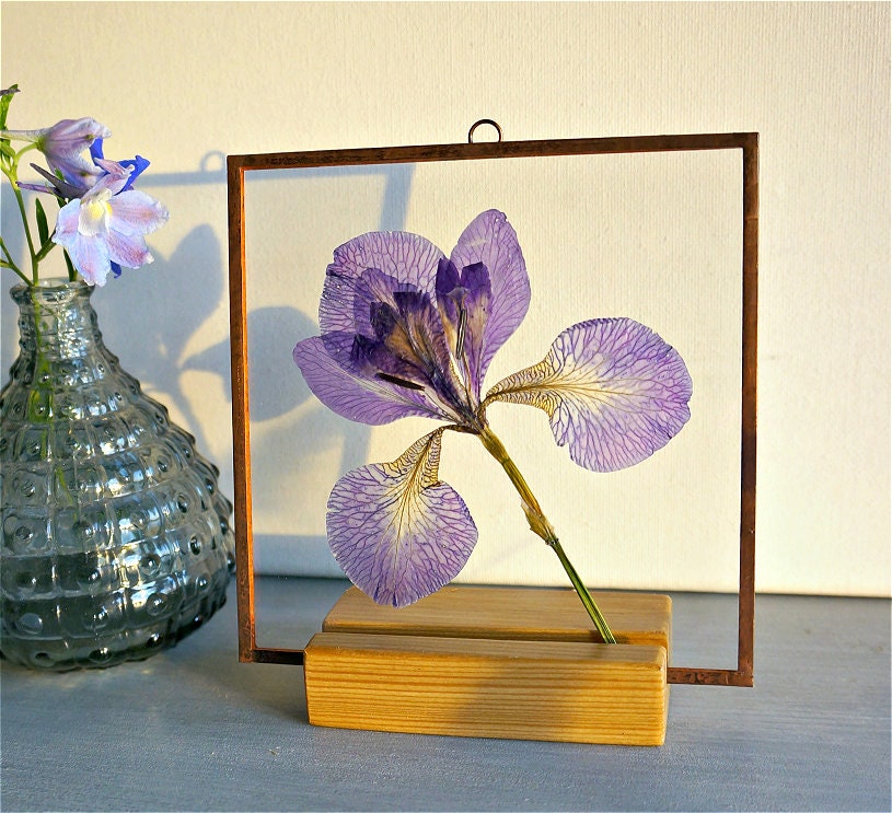 Pressed Flower Frame Purple Iris Dried Flower Art Mothers Day Gift
