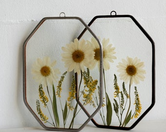 White daisies wall decor Pressed flower geometric frame daisy art Summer flower gift Meadow grasses Hanging glass frame Farmhouse Nursery