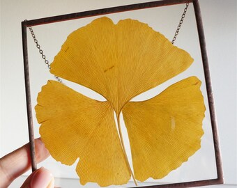 Real ginkgo leaf frame Yellow leaves wall decor Fall leaf Botanical gift Pressed plants Herbarium framed Square frame Stained glass windows