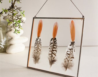 Real feather home decor Orange Pheasant Feather glass frame  Bird lover Feathers gift Striped Unusual Colorful feather Stained glass window