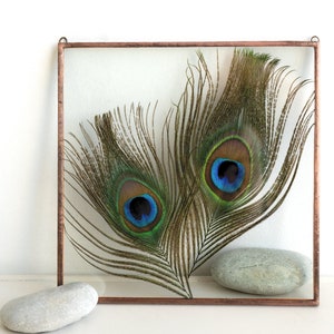 Natural Peacock eye decor Feather wall hanging Bird lover gift Boho decor Float frame Wedding peacock Colorful feather gift Peacock birthday