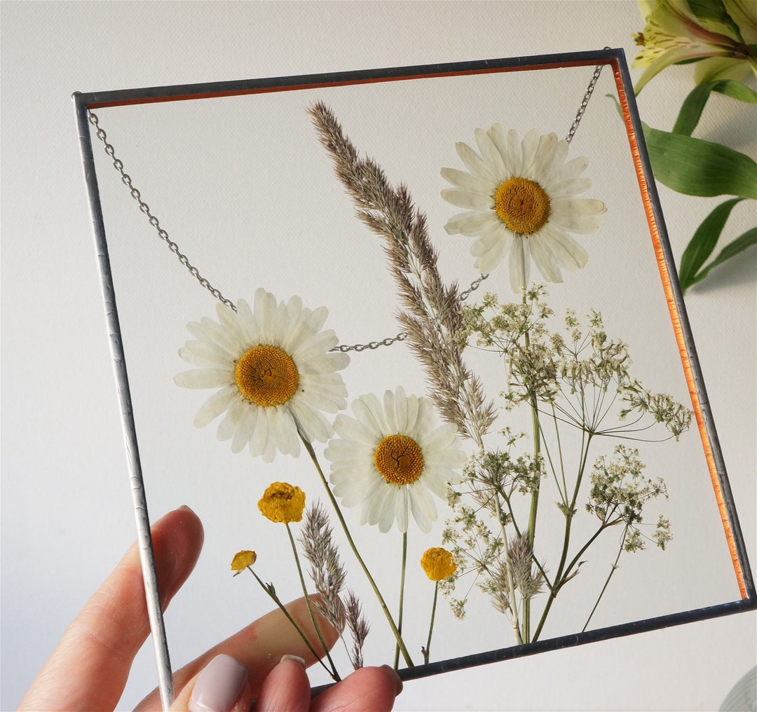 White Daisies Wall Decor Pressed Flower Frame Framed Daisy Art Etsy