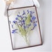 see more listings in the Botanical gift section