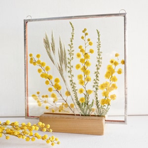 Pressed mimosa flower frame Yellow green floral wall hanging Spring flower gift Stain glass botanical decor Mother&#39;s day Mom from daughter