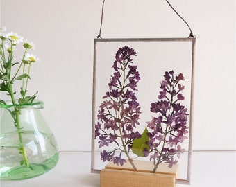 Lilac gift Pressed flower frame Purple lilac blossom Herbarium Mothers day gift box Floral wall hanging Double glass frame Stain glass panel