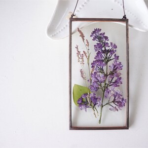 Flieder Geschenk Gepresste Blumenrahmen Lila Fliederblüte Herbarium Muttertagsgeschenkbox Blumenwandbehang Doppelglasrahmen Fleckglasplatte