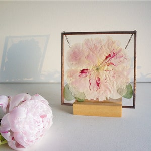 White pink peony pressed flower square stain glass frame Mothers day gift box 5x5 Floral wall hanging decor Dried peonies Glass herbarium