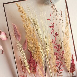 Wheat decor Pressed botanicals frame Red Barberry Float botanical art A4 Red tree branch Double sided glass frame Plant lover gift Eco style image 2