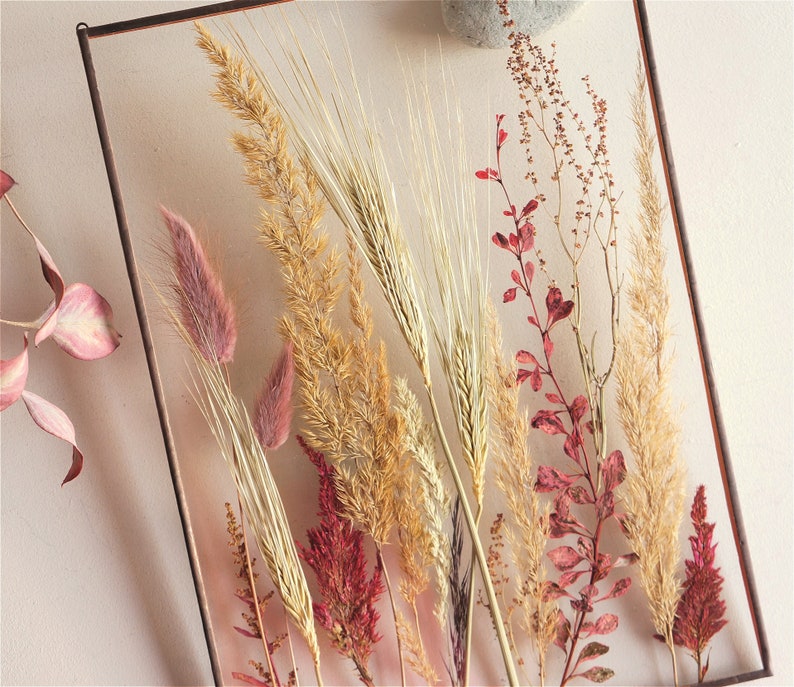 Wheat decor Pressed botanicals frame Red Barberry Float botanical art A4 Red tree branch Double sided glass frame Plant lover gift Eco style image 2