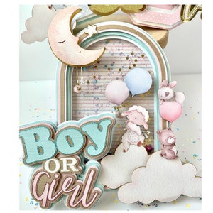 Gender Reveal Shaker Cake Topper: Boy or Girl Party Decoration