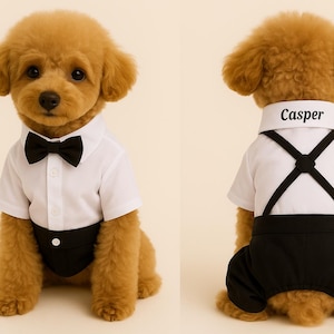 May include: Two brown and white poodle dogs wearing formal attire. One dog is wearing a white shirt with a black bow tie and black pants. The other dog is wearing a white shirt with a black bow tie and black suspenders. The dog on the right has the name "Casper" embroidered on the collar.