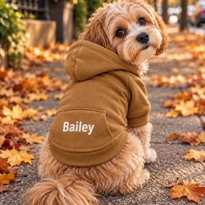 May include: A small, light brown dog with long, wavy fur wearing a solid tan hooded sweatshirt. The back of the hoodie features a kangaroo pocket with the name Bailey printed in white capital and lowercase letters on the center of the pocket.